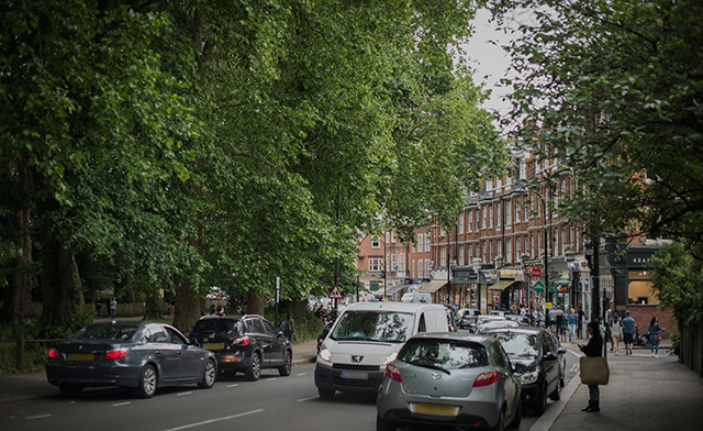 Hampstead Health